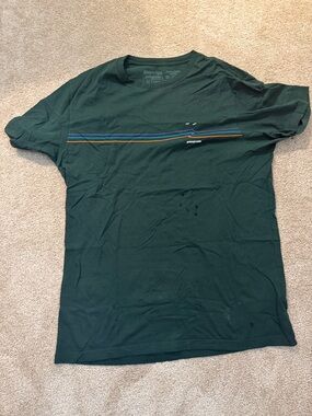 Patagonia Forest Green Short Sleeve Tee with Blue, Orange & Gold Stripes